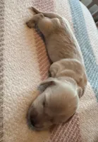 processed/f86cbe21-e333-427d-b83f-5023281508d6/listing/2537c33e-211f-4f8a-a83c-472f17d870c1/4ef95283-aaec-4247-80cd-62009d4c994b