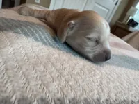 processed/f86cbe21-e333-427d-b83f-5023281508d6/listing/2537c33e-211f-4f8a-a83c-472f17d870c1/70d6f000-386d-4f3c-ba22-146f2f2fbd9e