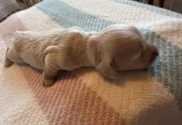 processed/f86cbe21-e333-427d-b83f-5023281508d6/listing/2537c33e-211f-4f8a-a83c-472f17d870c1/b4e7eeb5-4c8d-4da7-b8fa-36167adfbe19