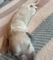 processed/f86cbe21-e333-427d-b83f-5023281508d6/listing/2537c33e-211f-4f8a-a83c-472f17d870c1/d48497fd-deaf-4256-a03c-379887244080