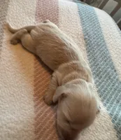 processed/f86cbe21-e333-427d-b83f-5023281508d6/listing/2537c33e-211f-4f8a-a83c-472f17d870c1/f01ec5f2-ddc5-4e7d-b250-e518359b1c31