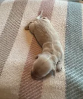 processed/f86cbe21-e333-427d-b83f-5023281508d6/listing/2537c33e-211f-4f8a-a83c-472f17d870c1/f83b2363-cc1d-425e-b3ca-db41db522fca