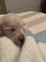 processed/f86cbe21-e333-427d-b83f-5023281508d6/listing/a76f617d-9e56-4bfc-971d-39da4b0709ae/0236cb91-06a5-4256-acdb-a1a165a49784