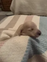 processed/f86cbe21-e333-427d-b83f-5023281508d6/listing/a76f617d-9e56-4bfc-971d-39da4b0709ae/14cbd0ca-2e7d-4088-8177-f18dcfc0a9db