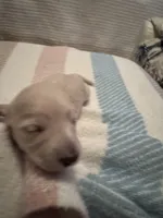 processed/f86cbe21-e333-427d-b83f-5023281508d6/listing/a76f617d-9e56-4bfc-971d-39da4b0709ae/6480754b-0401-4062-ae4f-50c7f9bb1169