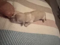 processed/f86cbe21-e333-427d-b83f-5023281508d6/listing/a76f617d-9e56-4bfc-971d-39da4b0709ae/69d1bed5-83b8-4586-9853-ff17aa319dbc