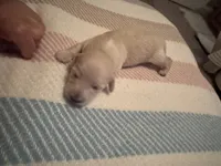 processed/f86cbe21-e333-427d-b83f-5023281508d6/listing/a76f617d-9e56-4bfc-971d-39da4b0709ae/a84dcb45-af65-44ea-b062-992553d6b275