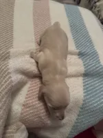 processed/f86cbe21-e333-427d-b83f-5023281508d6/listing/a76f617d-9e56-4bfc-971d-39da4b0709ae/cc361bb5-a7f2-42a7-a307-891fca11fd93