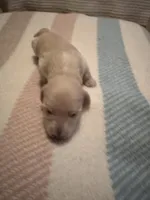 processed/f86cbe21-e333-427d-b83f-5023281508d6/listing/a76f617d-9e56-4bfc-971d-39da4b0709ae/e5f21c6d-92c7-49c3-81cd-c35fc0bde29f