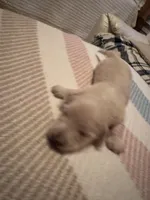 processed/f86cbe21-e333-427d-b83f-5023281508d6/listing/a76f617d-9e56-4bfc-971d-39da4b0709ae/f2629f7d-32c9-4337-98bc-605eae8eaac4