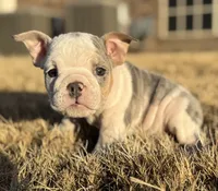 processed/f86cbe8d-68f0-43b7-977d-781739d132ed/listing/0b32a6ae-6dac-4602-ad53-026f390a0d25/07c21aba-e925-4ee5-9002-6d7c83d4dc65