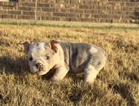 processed/f86cbe8d-68f0-43b7-977d-781739d132ed/listing/0b32a6ae-6dac-4602-ad53-026f390a0d25/3f27fb48-0cd5-411e-b369-f6b1c0482d9d