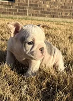 processed/f86cbe8d-68f0-43b7-977d-781739d132ed/listing/0b32a6ae-6dac-4602-ad53-026f390a0d25/67ed60e2-6124-4c70-8408-522ca91b6342