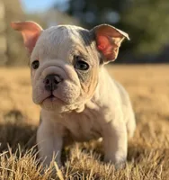 processed/f86cbe8d-68f0-43b7-977d-781739d132ed/listing/0b32a6ae-6dac-4602-ad53-026f390a0d25/d905494f-13dc-4145-96a4-ff4eedf2ded8