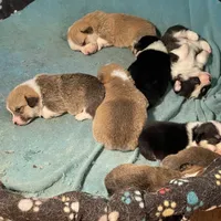 processed/f86d72ff-cd28-4927-98e7-15d4c3e9dd88/facility/23682750-4a0b-4216-a645-9c2e69cb3fb7