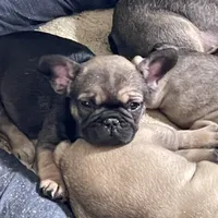 processed/f86d72ff-cd28-4927-98e7-15d4c3e9dd88/facility/4a029b22-e6c8-4a13-a00e-e151cf34f34a