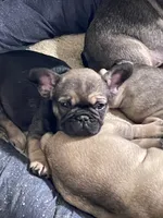 processed/f86d72ff-cd28-4927-98e7-15d4c3e9dd88/facility/4a029b22-e6c8-4a13-a00e-e151cf34f34a