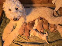 processed/f87556d4-1b5d-4115-896b-51b7034c07ea/facility/45064af3-2cd8-42a5-892f-c18be3978233