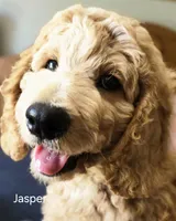 processed/f87556d4-1b5d-4115-896b-51b7034c07ea/facility/71782831-4365-4ca7-acfe-bfff366694ed