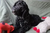 processed/f87556d4-1b5d-4115-896b-51b7034c07ea/facility/a91edda0-3f2a-40a3-8ae1-b40a5b1d6300