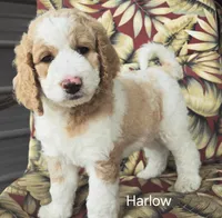 processed/f87556d4-1b5d-4115-896b-51b7034c07ea/facility/f5390e2f-355f-47c1-bf48-bb3be38ab1f7