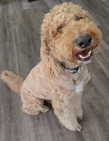 processed/f87556d4-1b5d-4115-896b-51b7034c07ea/listing/348403d5-1de1-44e3-b4b7-2e1d45ecad5b/695046eb-5e84-4cde-8e08-57599f3433e4