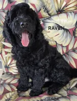 processed/f87556d4-1b5d-4115-896b-51b7034c07ea/listing/348403d5-1de1-44e3-b4b7-2e1d45ecad5b/85ffe358-fa12-498a-b9a8-be1f412b7780