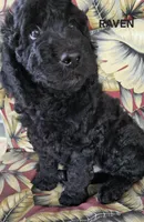 processed/f87556d4-1b5d-4115-896b-51b7034c07ea/listing/348403d5-1de1-44e3-b4b7-2e1d45ecad5b/8aa1bb42-956d-4e66-b684-927c8c8f2881