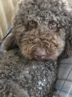 processed/f87556d4-1b5d-4115-896b-51b7034c07ea/listing/348403d5-1de1-44e3-b4b7-2e1d45ecad5b/f08bbc20-9175-4121-8970-52c348457a1a