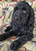 processed/f87556d4-1b5d-4115-896b-51b7034c07ea/listing/b294e25a-ac85-4700-9e2f-bd53d5623347/631d6873-a2fc-435f-a4db-72072f56a310