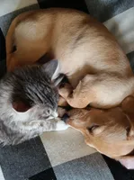 processed/f87fefe6-d6e1-43ce-8b7e-83965c28ea2e/facility/2b185702-d609-4b8b-b3ef-89911c5950e2