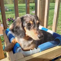 processed/f87fefe6-d6e1-43ce-8b7e-83965c28ea2e/facility/971e562d-2d8e-4d90-ba4d-51369075a5a0