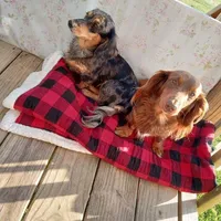 processed/f87fefe6-d6e1-43ce-8b7e-83965c28ea2e/facility/9f43abc4-7ec4-4830-84e7-f85cae0f8c33