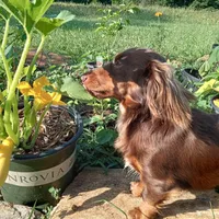 processed/f87fefe6-d6e1-43ce-8b7e-83965c28ea2e/facility/a899019a-e46c-4032-b2ae-1309e046cfc2