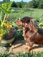 processed/f87fefe6-d6e1-43ce-8b7e-83965c28ea2e/facility/a899019a-e46c-4032-b2ae-1309e046cfc2