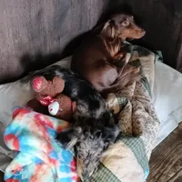 processed/f87fefe6-d6e1-43ce-8b7e-83965c28ea2e/facility/bf37a81d-efac-4f82-aad4-01580b099f3c