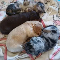 processed/f87fefe6-d6e1-43ce-8b7e-83965c28ea2e/facility/e348cbf2-6dda-415e-ade2-ba94f8486049