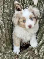 processed/f8832048-5cbb-4afd-b8bc-f5c7d48095cd/facility/7339c971-1275-4737-a0d6-1a0e88d54ddf