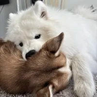 processed/f88545fd-024b-4fff-b5df-da2ff5176772/facility/7f07a990-db83-48b8-9765-dce1ab3546ab