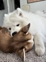 processed/f88545fd-024b-4fff-b5df-da2ff5176772/facility/7f07a990-db83-48b8-9765-dce1ab3546ab