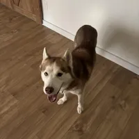 processed/f88545fd-024b-4fff-b5df-da2ff5176772/facility/9b94a213-898b-40de-941a-6de1f46357a9