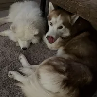 processed/f88545fd-024b-4fff-b5df-da2ff5176772/facility/e107839e-6007-4f58-b6cf-ff65e2dc3b8f