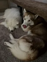 processed/f88545fd-024b-4fff-b5df-da2ff5176772/facility/e107839e-6007-4f58-b6cf-ff65e2dc3b8f