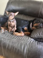 processed/f88aef7c-11ee-4094-b961-a216cf1eebd1/facility/43fe7071-3384-49d6-b0f7-4311de8e787a