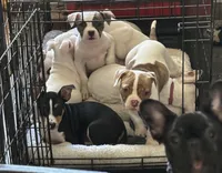 processed/f88aef7c-11ee-4094-b961-a216cf1eebd1/facility/9794afd3-9c02-4a95-81a4-56c060f8dc1e