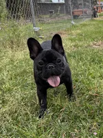 processed/f88aef7c-11ee-4094-b961-a216cf1eebd1/facility/9d4e6ab5-093a-4a18-ac5e-7b4efcd69695