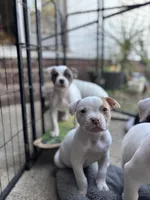 processed/f88aef7c-11ee-4094-b961-a216cf1eebd1/facility/e1acc37d-9d86-440d-9e79-bfb2a3001c9d