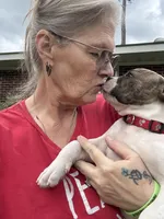 Sweet Tater, a female American Bulldog for sale in Varnville, SC – Photo 4 of 10