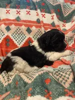 processed/f8bc17d0-d970-4ed3-aab9-bc261f155351/listing/46f146d1-7bb0-4225-8922-d846b9f8000d/0fc21750-ed7c-4dab-b93a-0288e9b51290