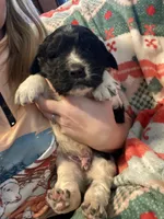 processed/f8bc17d0-d970-4ed3-aab9-bc261f155351/listing/46f146d1-7bb0-4225-8922-d846b9f8000d/3f8ddf06-bfe2-44b2-bbe1-b252bc623af3